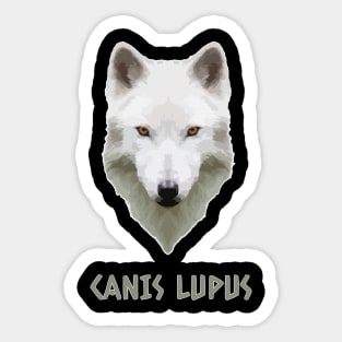 Canis Lupus Wolf Animalia Sticker